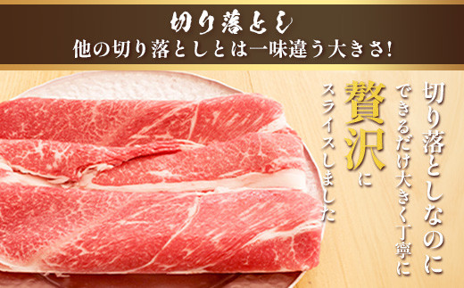 くまもとあか牛 詰合せBセット 《 切り落とし500g・すき焼きしゃぶしゃぶ用500g 》  計1kg  熊本県 ブランド牛 肉 ヘルシー 赤身 牛肉 105-0509