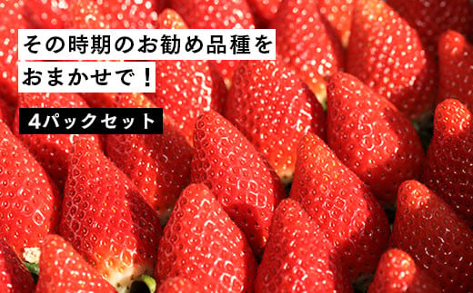 【２月発送開始・数量限定】伊賀いちご園のおまかせ4P（280g/パック×4パック） - イチゴ ストロベリー strawberr