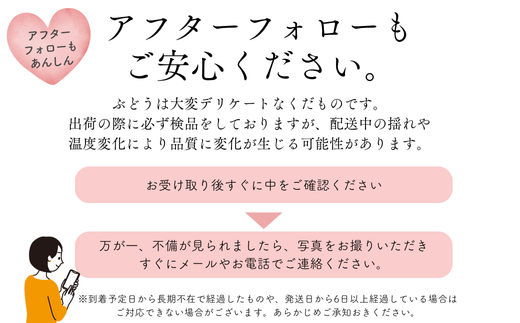 TK10-24A ぶどうの定期便 約2kg×2回（ナガノパープル・シャインマスカット）／9月上旬頃から2回配送 //長野県 南信州 種なし 葡萄 定期便 ナガノパープル シャイン マスカット 高品質 贈答 ギフト お取り寄せ 