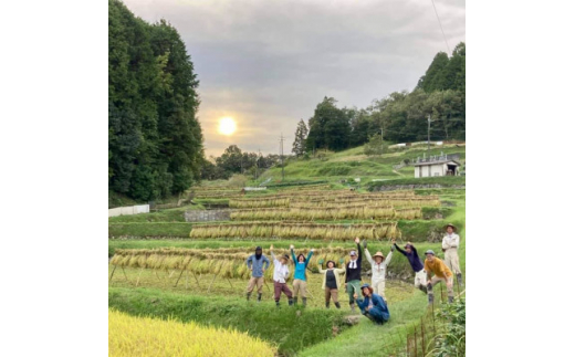 2022年度「上山棚田の稲株主制度(プロ)＜1口100株＞」【1276038】