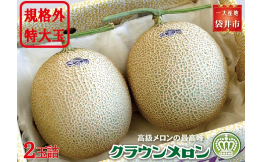 クラウンメロン　規格外特大玉（約1.7Kg～）2玉入　