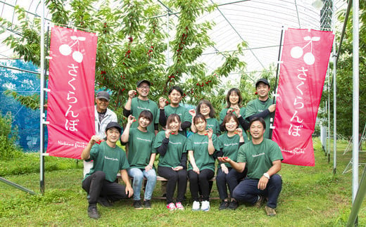 【仲野観光果樹園】≪2025年先行予約≫山形県産 品種おまかせ 和梨 秀 3kg(6～10 玉) 2025年8月下旬から順次発送 F2Y-5469