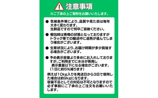 【先行予約】【数量限定】L～2Lサイズおまかせ 和歌山県産 南高青梅 10kg【2025年6月中旬より順次発送致します。】【JAながみね】/ 青梅 梅 南高梅 【jan005】