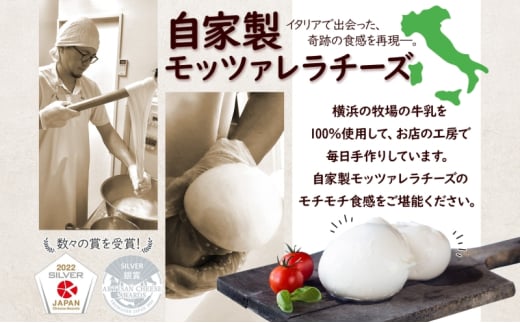 9ヶ月定期便 出来立て新鮮 モッツァレラチーズ100g  ×  4個セット 茅ケ崎産 加工食品 乳製品 チーズ 出来立て 神奈川県産 モッツァレラ 手作り Osteria e Bottega S 神奈川県 湘南 茅ケ崎 フレッシュチーズ  おつまみ ピザ