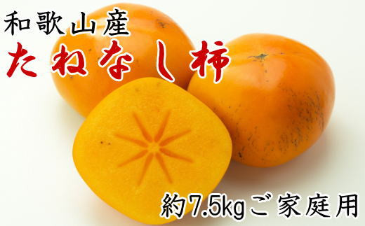 【秋の味覚】和歌山産のたねなし柿ご家庭用約7.5kg　※2024年10月上旬～11月上旬頃に順次発送【tec410A】