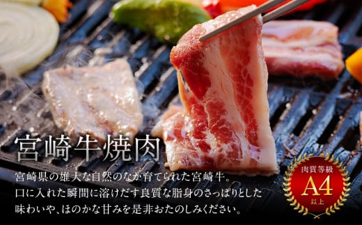 宮崎牛 宮崎県産 豚 焼肉 肩ロース 300g モモ 400g 豚バラ 500g セット 合計1.2kg [ミヤチク 宮崎県 美郷町 31au0044] 牛 豚肉 国産 冷凍 送料無料 内閣総理大臣賞受賞 詰め合わせ BBQ バーベキュー キャンプ 赤身 脂身 ミヤチク