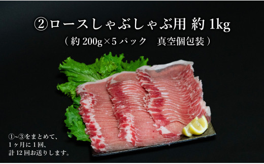 【12回定期便 総計50.4kg】 ありたぶた 3種しゃぶしゃぶセット 計4.2kg 小分け 真空パック 豚肉 モモ もも ロース バラ しゃぶしゃぶ 赤身 切り落とし N400-2