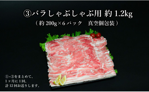 【12回定期便 総計50.4kg】 ありたぶた 3種しゃぶしゃぶセット 計4.2kg 小分け 真空パック 豚肉 モモ もも ロース バラ しゃぶしゃぶ 赤身 切り落とし N400-2