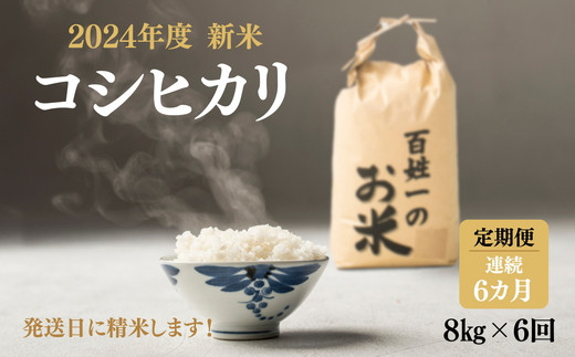 102-1001　先行予約【6回定期便】石井町産コシヒカリ8kg×連続6カ月 ※2024年9月上旬以降に順次発送予定 ※離島への配送不可◇