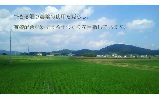 《6ヶ月定期便》【生産者支援】《令和5年産》茨城県桜川市産こしひかり 15kg（5kg×3袋）×6回 茨城県産 桜川 米 お米 白米 コメ ごはん 精米 コシヒカリ 国産 限定 [SC036sa]