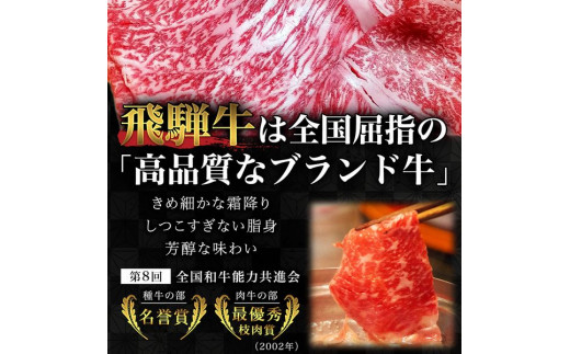 【3回定期便】飛騨牛 すきやき しゃぶしゃぶ 500g ロース（肩ロース） 5等級 A5 贅沢三昧定期便 国産 和牛 岐阜県 岐阜市/だるまミート [ANBE004]