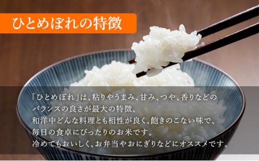 令和6年度産 ひとめぼれ玄米2kg 宮城県 岩沼市 玄米 お米 米 ごはん ご飯 単一原料米[№5704-0880]