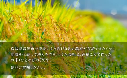 令和6年度産 ひとめぼれ玄米2kg 宮城県 岩沼市 玄米 お米 米 ごはん ご飯 単一原料米[№5704-0880]