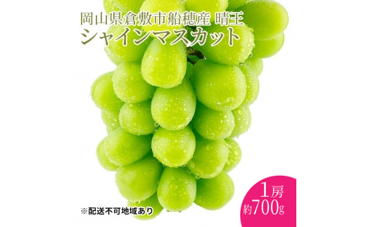 ぶどう 2025年度分 先行予約 【プレミアムシャインマスカット 晴王 1房 約700g】船穂産　赤秀品以上  岡山県産 葡萄 ブドウ ギフト ハレノフルーツ 皮ごと食べる みずみずしい