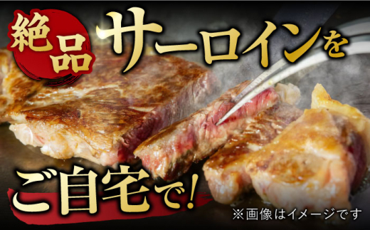 【3回定期便】 艶さし！ 佐賀牛 サーロインステーキ 計1.5kg （250g×2枚×3回） 吉野ヶ里町 [FDB039]