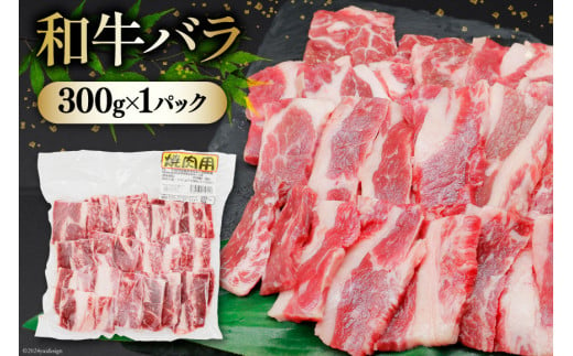 肉 セット 宮崎県産牛 豚 鶏 バーべキューセット 計1.8kg [甲斐精肉店 宮崎県 美郷町 31as0072] 焼肉セット 冷凍 小分け 牛肉 豚肉 鶏肉 牛バラ 豚バラ ロース もも モモ 鶏もも BBQ バーベキュー 焼肉 焼肉用