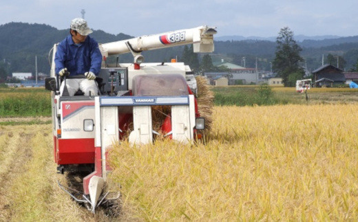 【 6ヶ月定期便 / 令和5年産 】 はえぬき 5kg ( 1袋 ) / 月 計 30kg 米沢産 2023年産 [031-011]