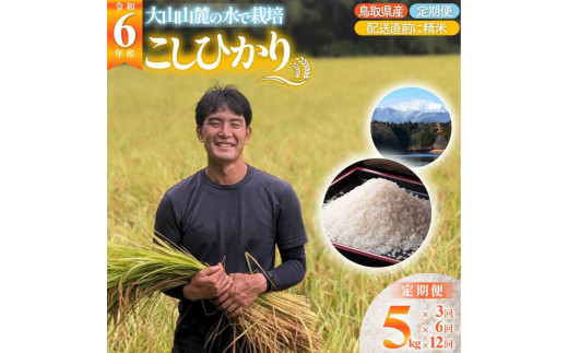 ９３３．【12回定期便】令和6年産こしひかり（精米）　5kg×12回     離島不可（北海道、沖縄本島は配送可能） ※お申し込みから14日以内に発送