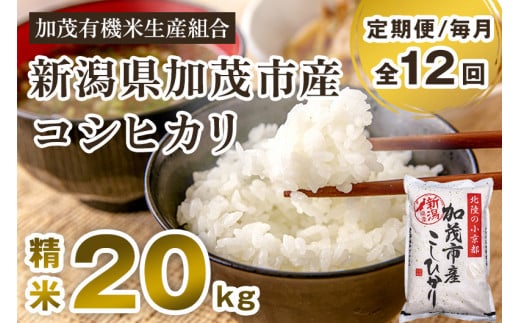 【令和6年産新米先行予約】【定期便12ヶ月毎月お届け】新潟県加茂市産コシヒカリ 精米20kg（5kg×4）白米 加茂有機米生産組合 定期便