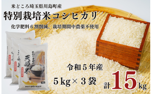 特別栽培米 コシヒカリ 白米 15kg （5kg×3袋）食味値80以上 栽培期間中農薬不使用 有機肥料 かわじま町の天領米 令和5年産 2023年産 小分け 米 コメ 安心 安全  減農薬 埼玉県認証 埼玉県 川島町