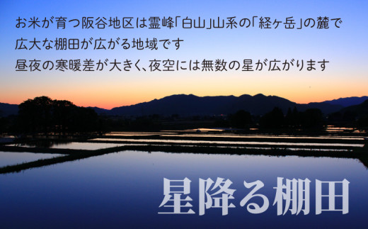 【先行予約】地球にやさしいパックご飯 20食入り【玄米】　減農薬・減化学肥料 「特別栽培米」