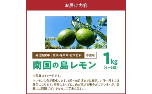 ■【先行受付】 栽培期間中 農薬・除草剤・化学肥料不使用！南国の島レモン1キロ！【8月下旬～1月下旬】　W043-005u