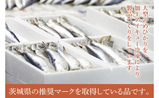 めひかり丸干　200g【海鮮 鮮魚 メヒカリ 白身魚】(BH101)