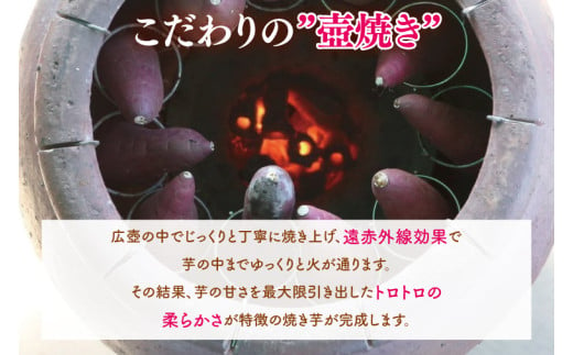 冷凍 壺焼き芋 紅はるか1㎏（500g×2）【さつまいも 芋 いも  焼き芋 焼芋 やきいも 茨城県 水戸市 水戸 5000円以内】（IN-11)