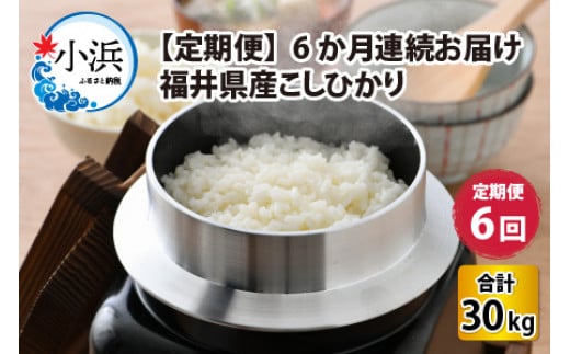 【定期便】 【6か月連続お届け】【令和6年産 新米】福井県産 こしひかり 5kg × 6回