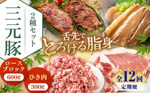  肉 豚肉 ブロック ステーキ ステーキ用 ロース ロースステーキ とんかつ