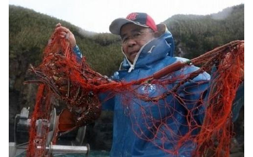 【特産品セット】三島村からのお届け－伊勢海老と地魚ジャーキーのセット