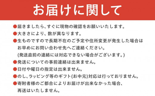 【期間限定】数量限定！本土最南端の熟成ハウスパイナップル　品種おまかせ3kg（2～5玉）セット