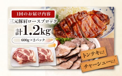  肉 豚肉 ロース ブロック ローストポーク 煮豚 酢豚 煮物 冷凍配送 