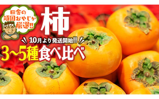 柿はこれだっぺセット【令和6年10月より発送開始】田舎の頑固おやじが厳選！