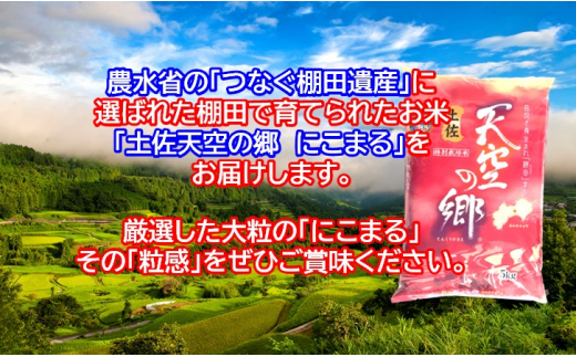 2010年・2016年 お米日本一コンテスト inしずおか 特別最高金賞受賞 土佐天空の郷 にこまる 5kg