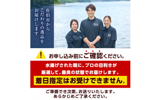 ヒオウギ貝(5枚)とサザエ(約500g) 魚介 貝 ヒオウギ貝 ひおうぎ貝 サザエ さざえ 栄螺 酒蒸し 網焼き バター焼き バーベキュー 獲れたて 冷蔵 海の直売所 大分県 佐伯市【AS121】【海べ (株)】