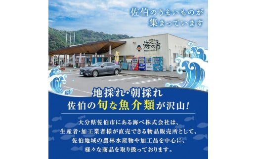 ヒオウギ貝(5枚)とサザエ(約500g) 魚介 貝 ヒオウギ貝 ひおうぎ貝 サザエ さざえ 栄螺 酒蒸し 網焼き バター焼き バーベキュー 獲れたて 冷蔵 海の直売所 大分県 佐伯市【AS121】【海べ (株)】