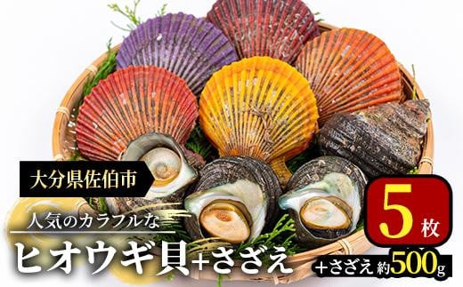 ヒオウギ貝(5枚)とサザエ(約500g) 魚介 貝 ヒオウギ貝 ひおうぎ貝 サザエ さざえ 栄螺 酒蒸し 網焼き バター焼き バーベキュー 獲れたて 冷蔵 海の直売所 大分県 佐伯市【AS121】【海べ (株)】