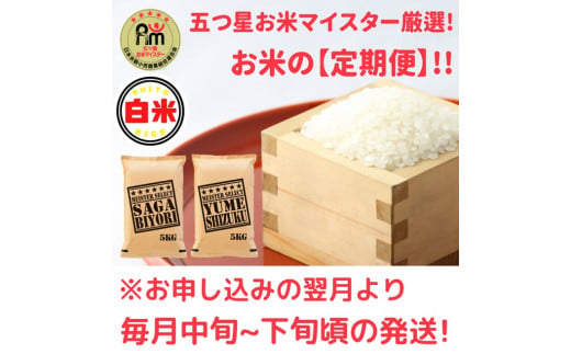 CI717【白米食べ比べ！】さがびより５㎏夢しずく５㎏【１０回定期便】