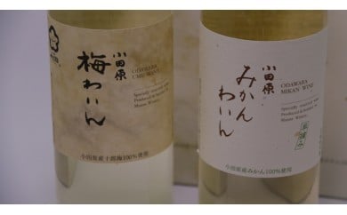 城下町小田原の飲み比べわいんBセット（2本セット)