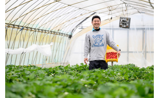 【定期コース】 手作りジャム ～いちご農家さんからの直送品～ (定期便3回) | 茨城県 常陸太田市 いちご 苺 完熟いちご 果肉 フルーツ ジャム ホームメイド 手作り 自家製 おすすめ おいしい 甘い パン ヨーグルト 朝食 おやつ トッピング 人気 定期便 お取り寄せ プレゼント ギフト 贈答品