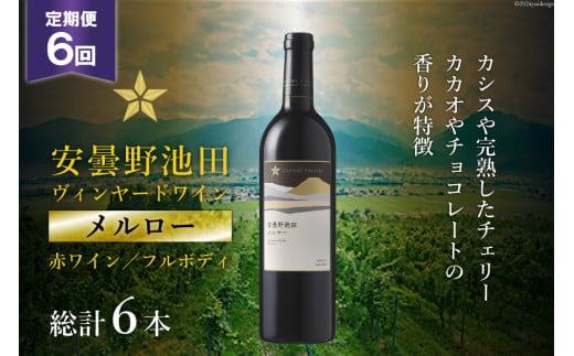 6回 定期便 赤ワイン サッポロ グランポレール 安曇野池田ヴィンヤード「メルロー」750ml 総計6本 [池田町ハーブセンター 長野県 池田町 48110619] 赤 ワイン フルボディ 濃厚 凝縮 お酒 酒