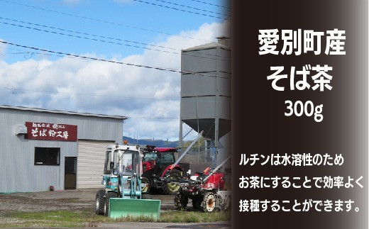 そば茶 300g 国産 北海道愛別町産  自家焙煎 無添加 【E31101】