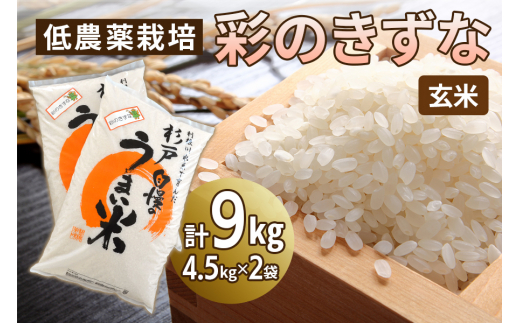 新米 低農薬栽培の彩のきずな《玄米》9kg (4.5kg×2袋)｜おいしい お米 コメ こめ ご飯 ごはん 白米 玄米 お取り寄せ 直送 贈り物 贈答品 ふるさと納税 埼玉 杉戸 [0551]