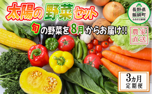 野菜 太陽の野菜セット 【 8月から 3か月 定期便 】 季節ごと旬の野菜  配送先は本州限定 2024年8月中旬頃から2024年10月中旬頃まで順次発送予定 ビオ農産物 太陽の恵み ( 化学肥料 除草剤 不使用 ) 長野県 飯綱町 [1041]