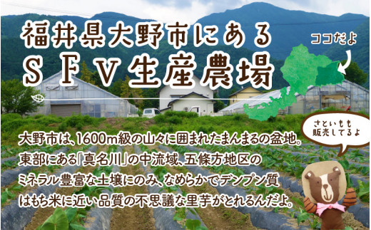 【アレルギー対応スイーツ】まなひめむーあんＢ 6個 詰合せ【里芋ベースのゼリー風スイーツ】(石川県の高級ぶどうルビーロマンと三年熟成の福井梅を丸ごと使用)【グルテンフリー】