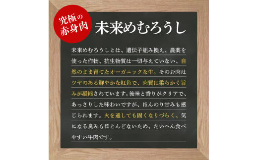 北海道十勝芽室町 未来めむろうしの牛すじ煮込み　4パック me067-004c