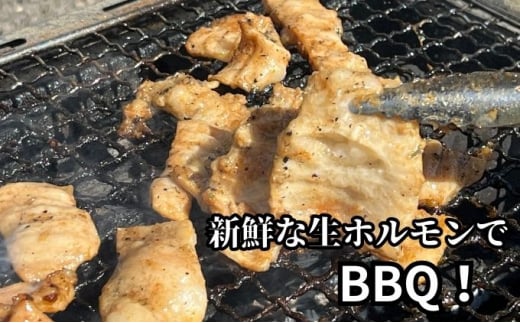 【特製たれ付き】味付け豚焼肉セット1.5kg【豚テッポウ300g /豚ホルモン300g/豚コブクロ300g/豚バラ300g/豚サガリ300g】