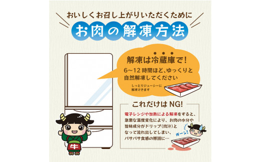 【ふるさと納税限定！】 訳あり ！ 九州産 黒毛和牛切落し 1.5kg | 肉 にく お肉 おにく 牛 牛肉 和牛 切り落とし 訳アリ 熊本県 玉名市