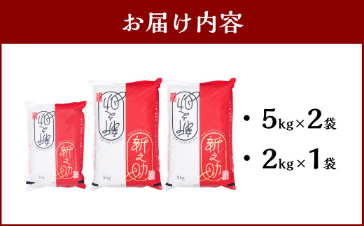 【新米受付・令和6年産米】NB4030 村上市産新之助12kg